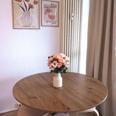 Cozy Modern Drezda