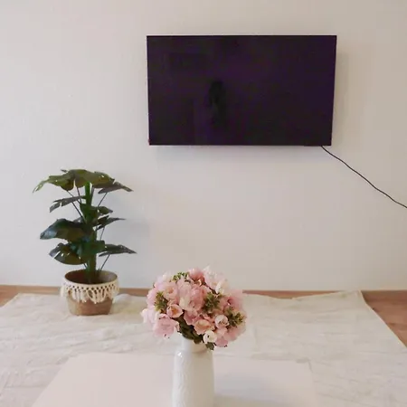 Cozy Modern Drezda